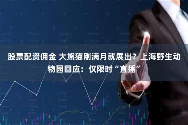 股票配资佣金 大熊猫刚满月就展出？上海野生动物园回应：仅限时“直播”