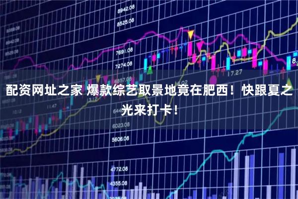 配资网址之家 爆款综艺取景地竟在肥西！快跟夏之光来打卡！